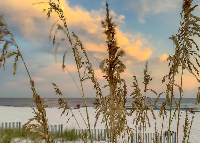 Sea Oats A102 By Albvr - Lagoon Front Updgraded Gulf Shores